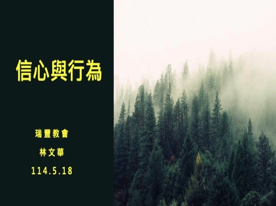 信心與行為