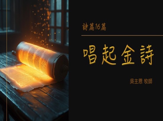 唱起金詩